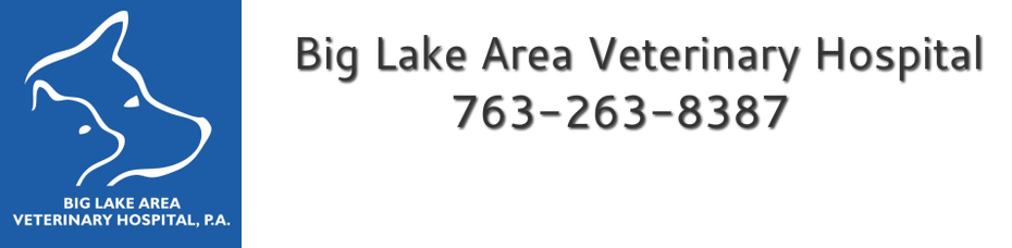 Big Lake Area Veterinary Hospital